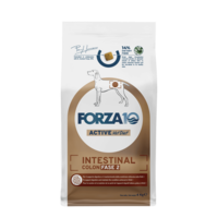 Forza10 Active VetDiet Intestinal Colon PHASE 2 with fish 4kg