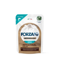 Forza10 Active VetDiet Intestinal Colon wet food for cats 12x80g