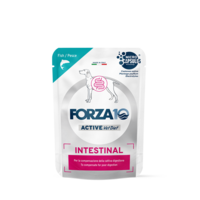Forza10 Active VetDiet Intestinal wet food for dogs 12x100g