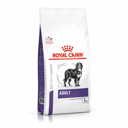 Royal Canin Dog Adult Large sausā barība lielo šķirņu suņiem 13kg
