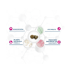 Forza10 Active VetDiet Intestinal Puppy  1,5kg