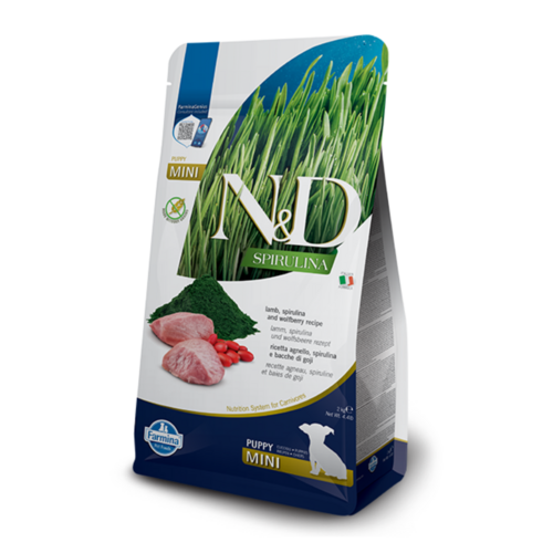 N&D dog spirulina bezgraudu sausā barība ar  jēru, spirulīnu un godži ogām, mazo šķirņu kucēniem 2kg