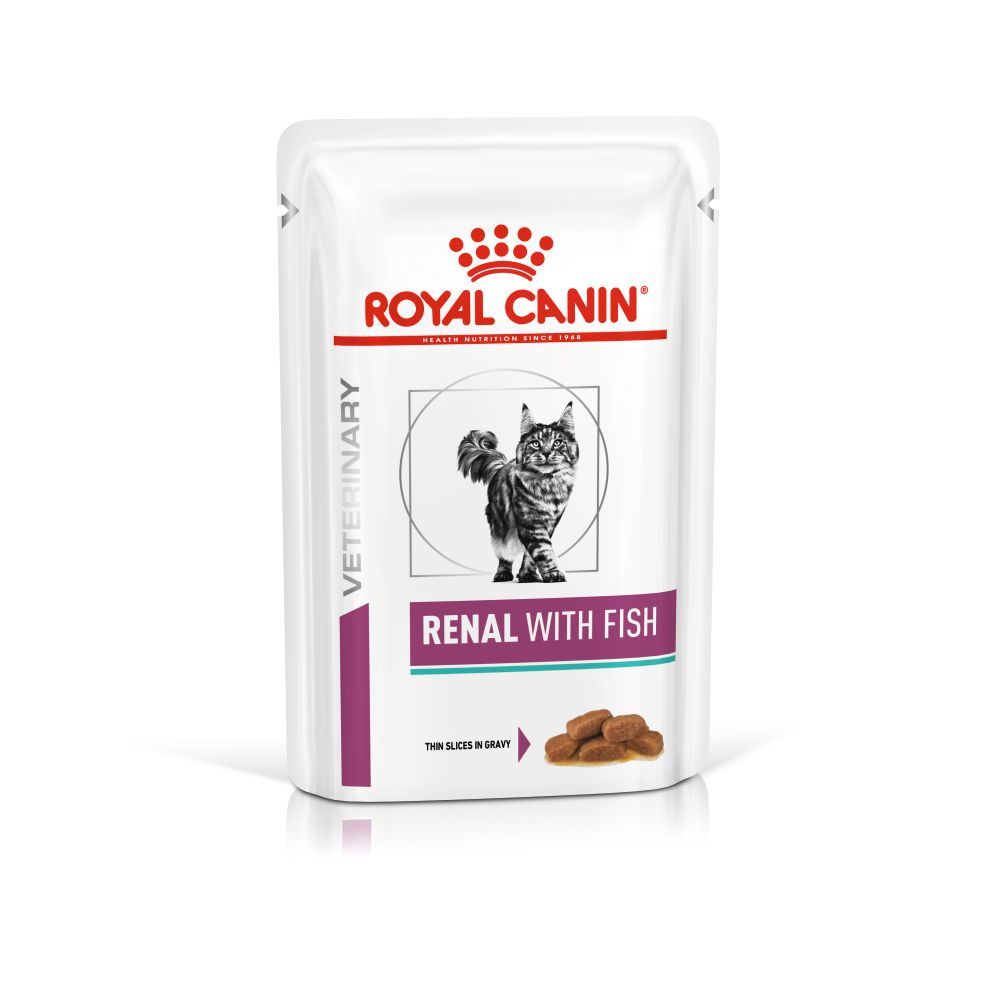 VHN Cat Renal With Fish Gravy 12x85 g