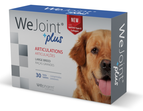 WeJoint Plus for large dogs, N30