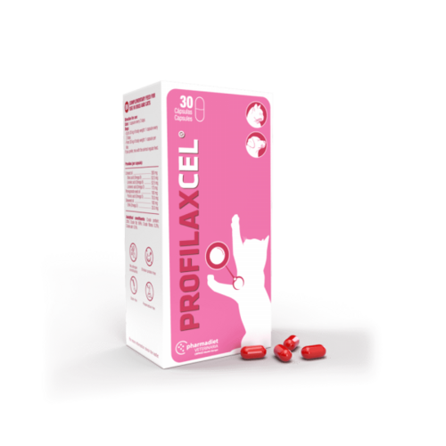 PROFILAXCEL N30