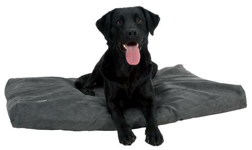 BUSTER Memory Foam dog bed, dark gray, 100 x 70 cm