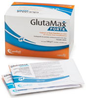 GlutaMax Advanced tablets N10