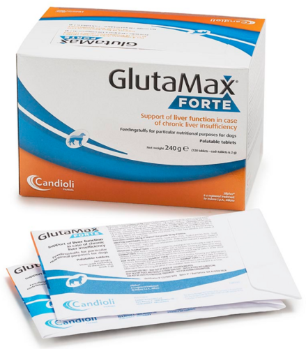 GlutaMax Advanced tabletes aknu darbības traucējumiem suņiem N10