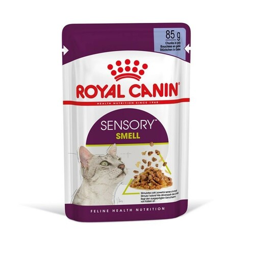 FHN Cat Sensory Smell Gravy 12x85 g