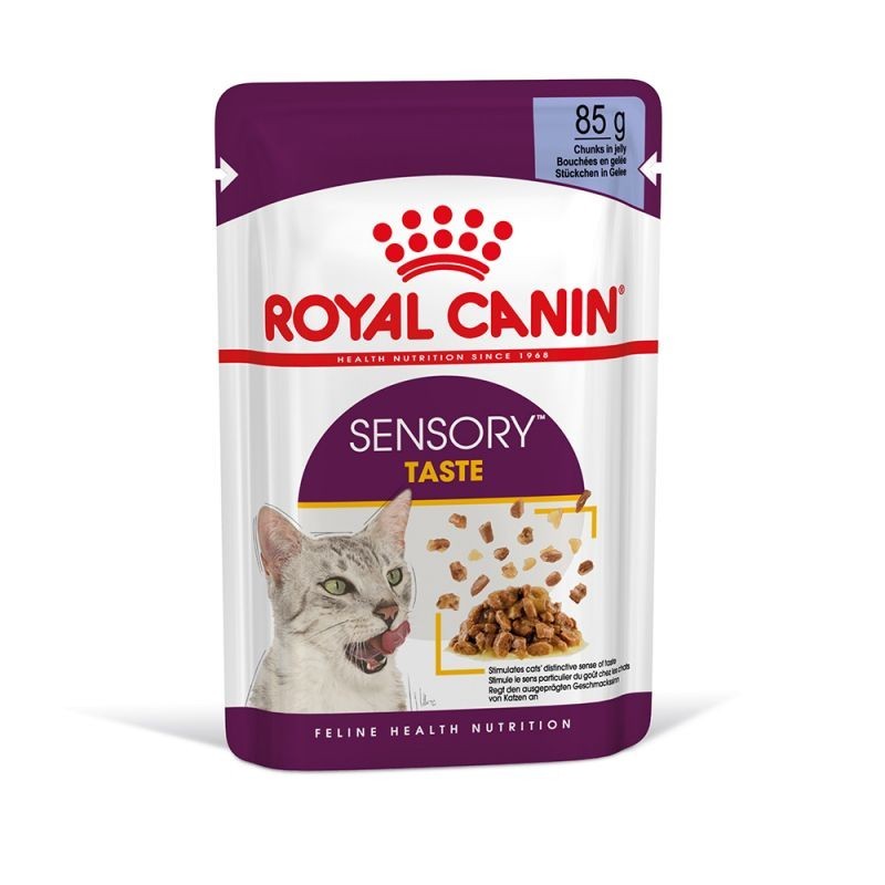 FHN Cat Sensory Taste Gravy 12x85 g