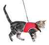 Krūšu siksna veste ar pavadu kaķiem : Trixie Soft harness with lead for cats, 24–42 cm, 1,20 m