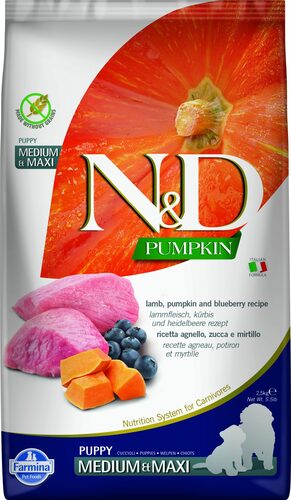 N&D dog pumpkin bezgraudu sausā barība ar jēru, ķirbi un mellenēm, vidējo un lielo šķirņu kucēniem 2,5kg