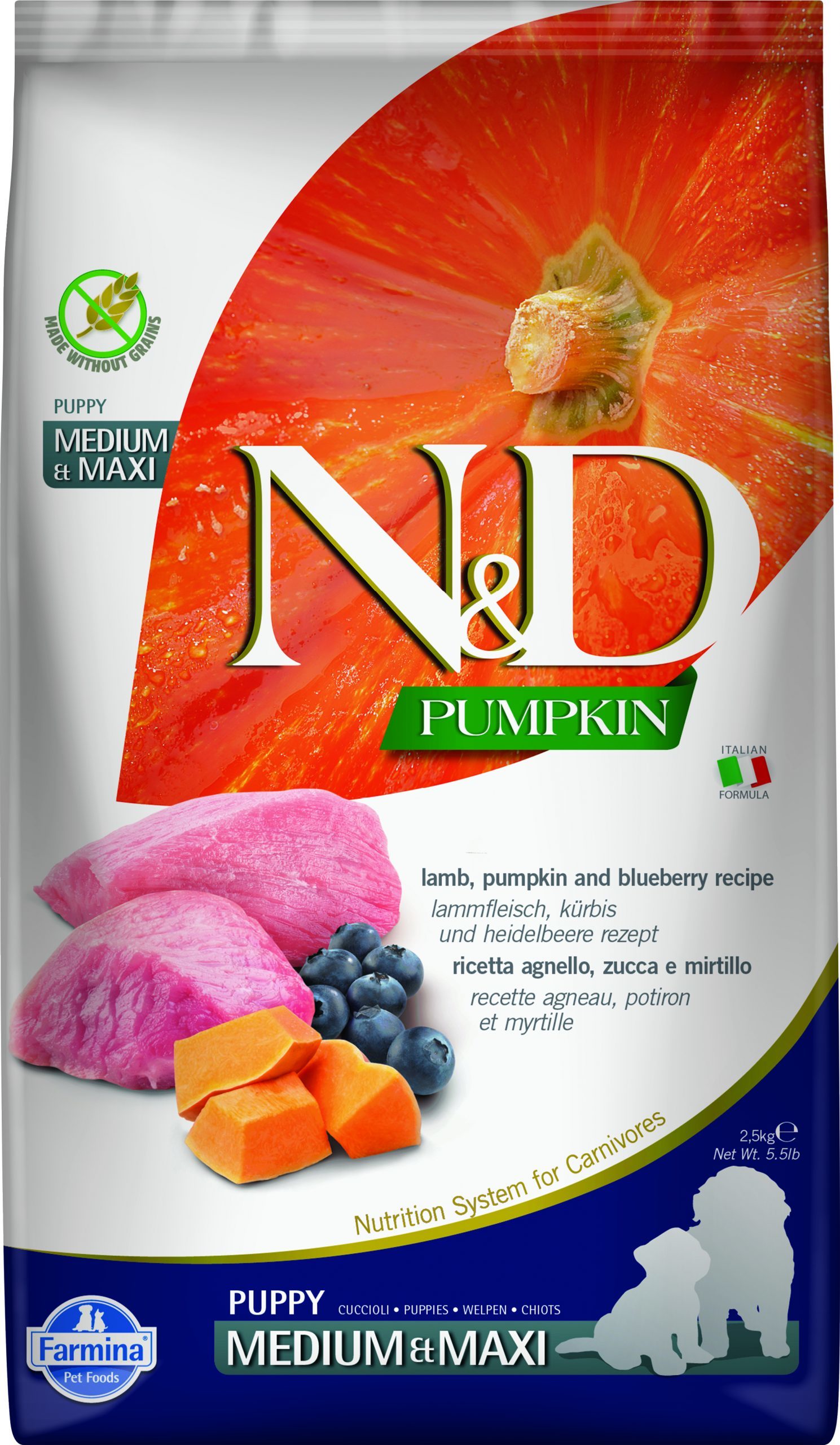 N&D dog pumpkin bezgraudu sausā barība ar jēru, ķirbi un mellenēm, vidējo un lielo šķirņu kucēniem 2,5kg