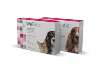 WePatic aknu funkciju atbalstam mazo šķirņu suņiem/kaķiem N30
