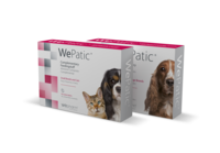WePatic medium & large breed N30